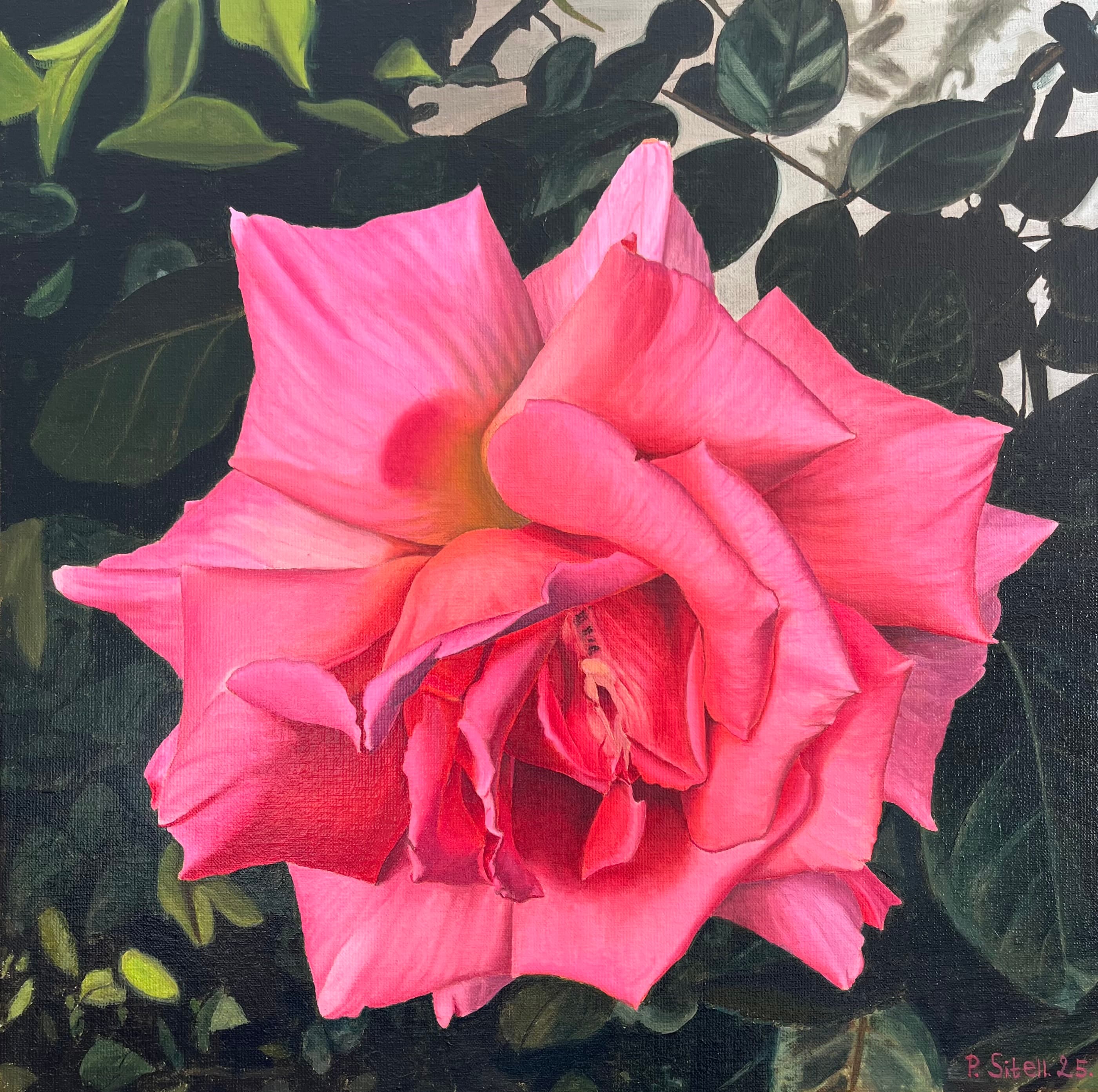 Painting - The middle Rose - Art and Poetry - Peter Sitell